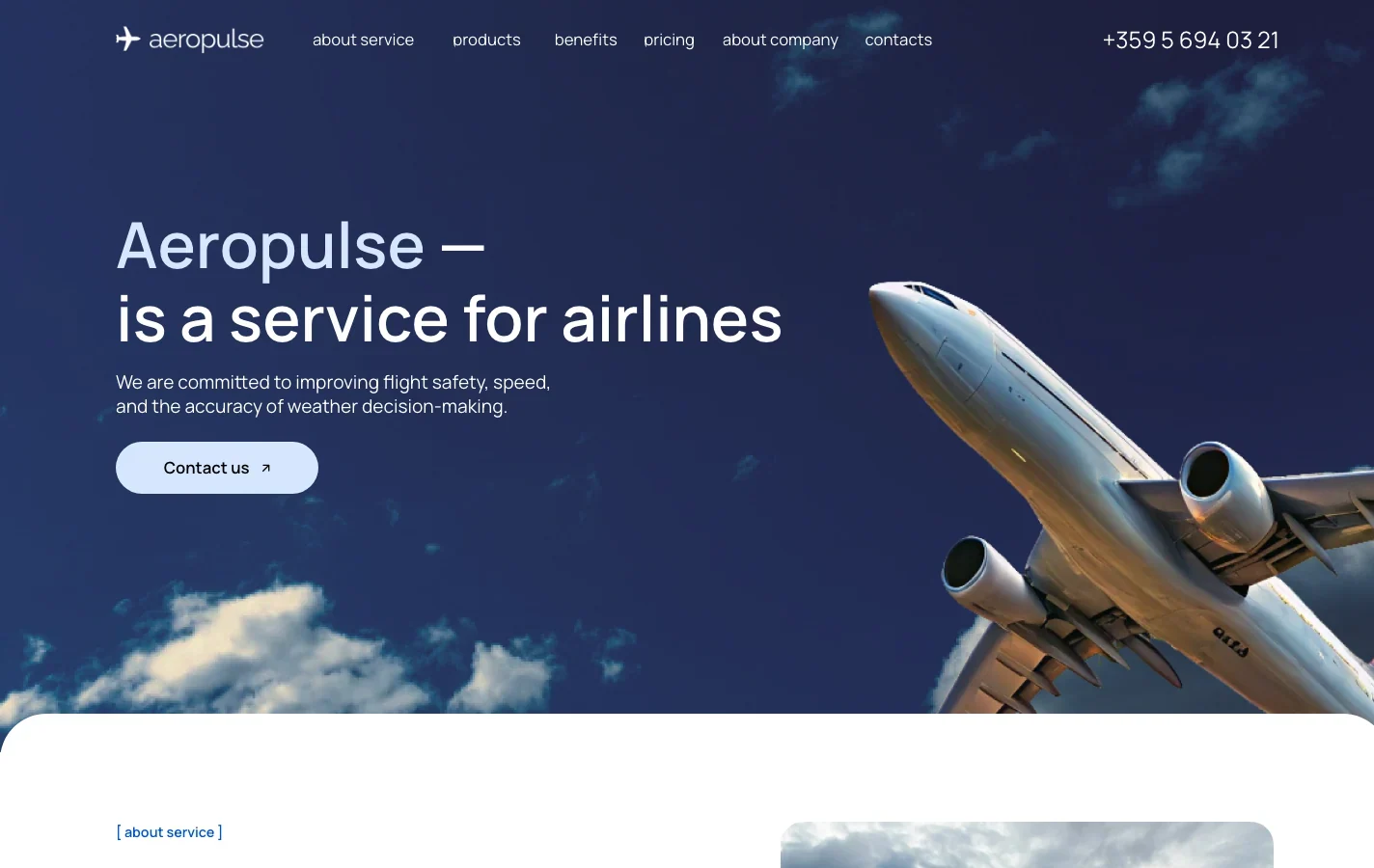 Первый экран англоязычного сайта Aeropulse для авиакомпаний