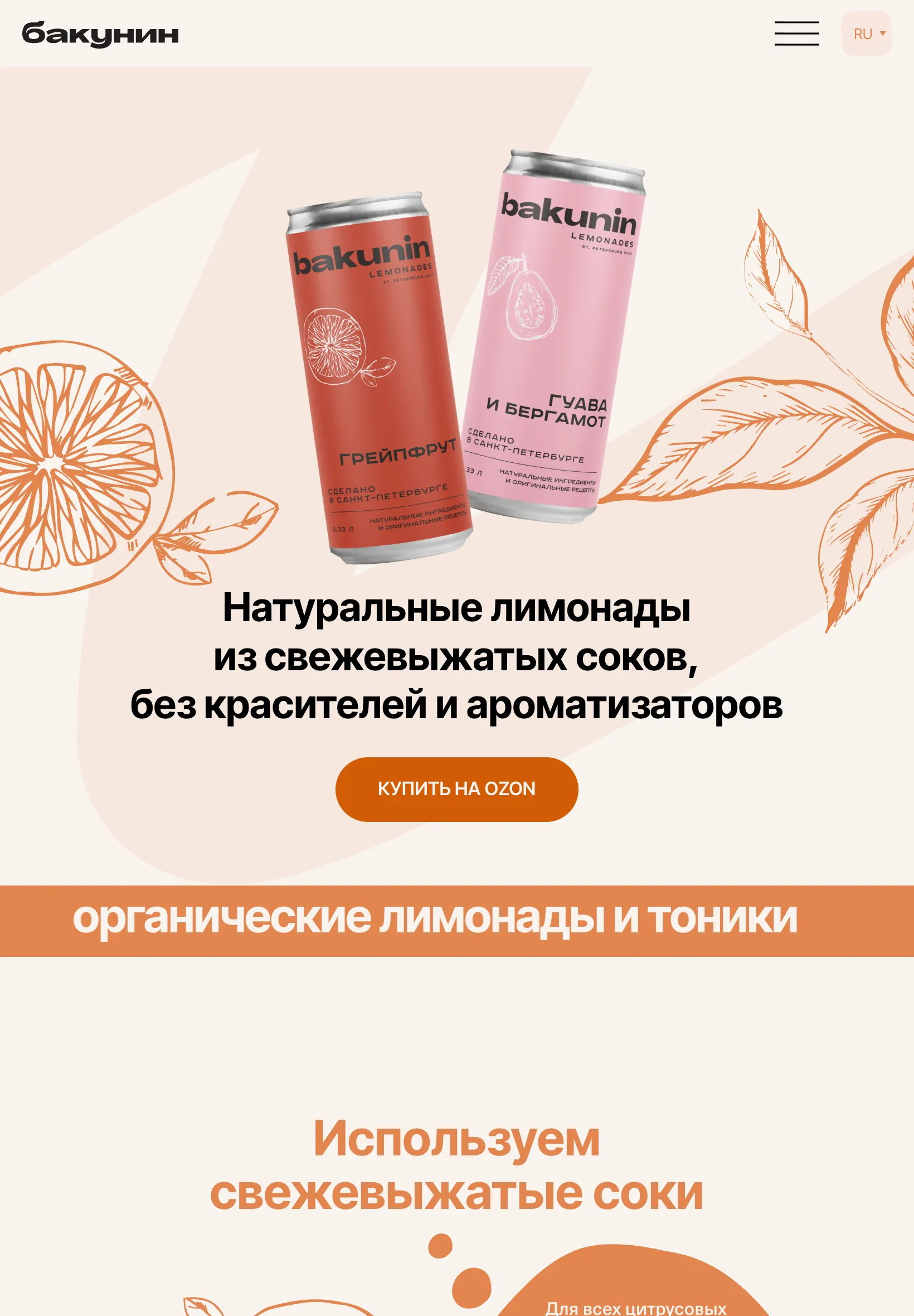 Первый экран сайта на планшете