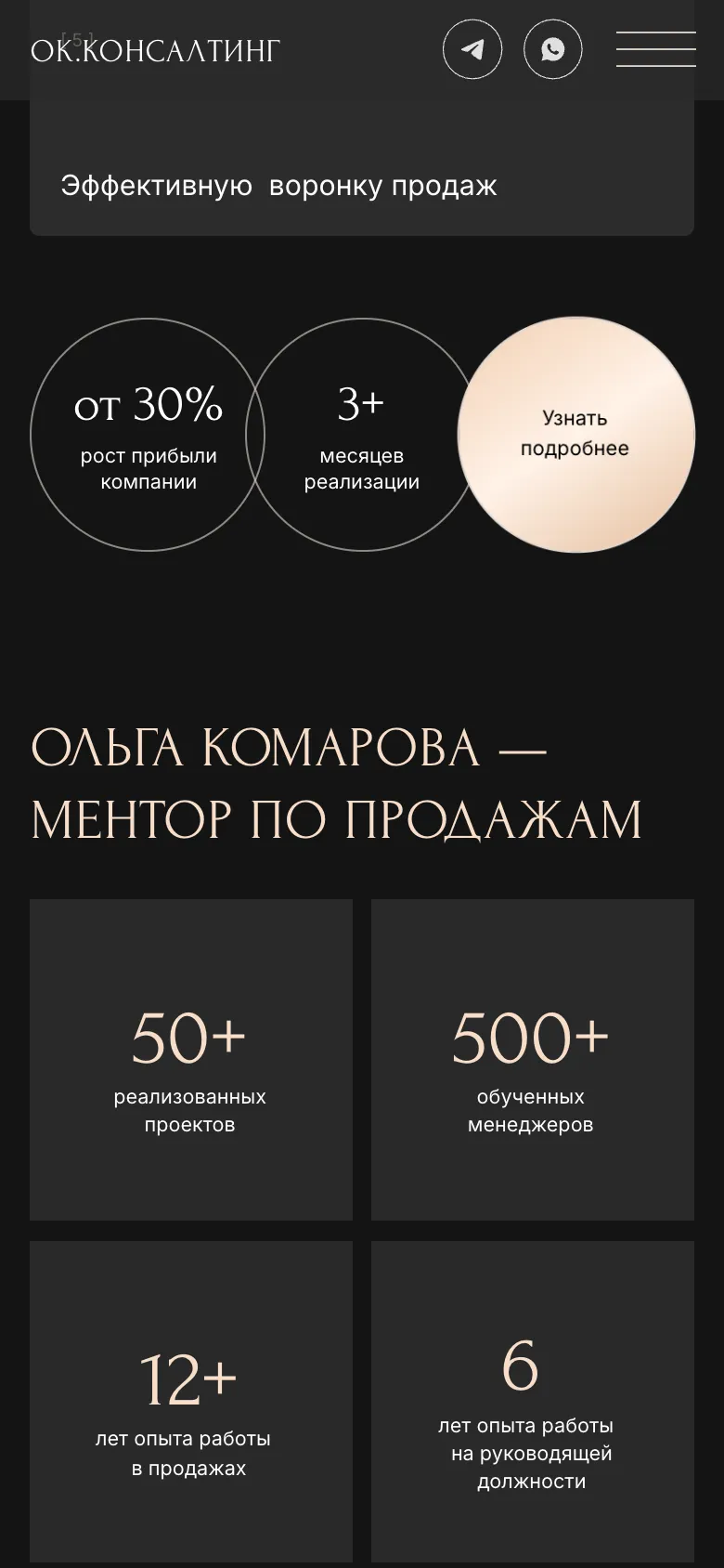 Мобильная версия: круги «от 30% рост прибыли», «3+ месяцев реализации» и «Узнать подробнее», под ними цифры опыта Ольги плиткой два на два